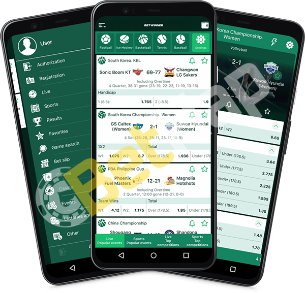 All You Need to Know About Betwinner 1 All You Need to Know About Betwinner 1