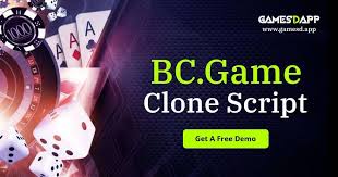 Comprehensive Guide to BC Game Support 3