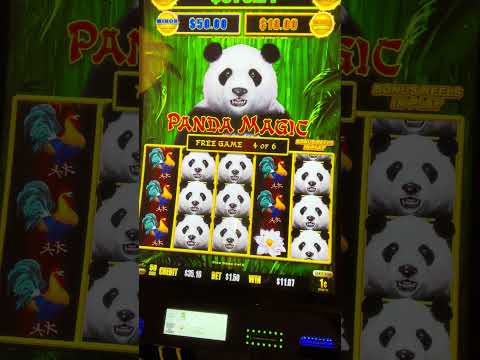 Experience Thrilling Games at Spinpanda Online Casino UK Experience Thrilling Games at Spinpanda Online Casino UK