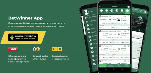 Discover the Thrills of BetWinner Online Gambling Platform